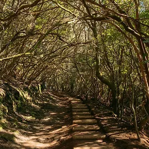 https://apt-oasis-brisa-marina.in-canary-islands.com